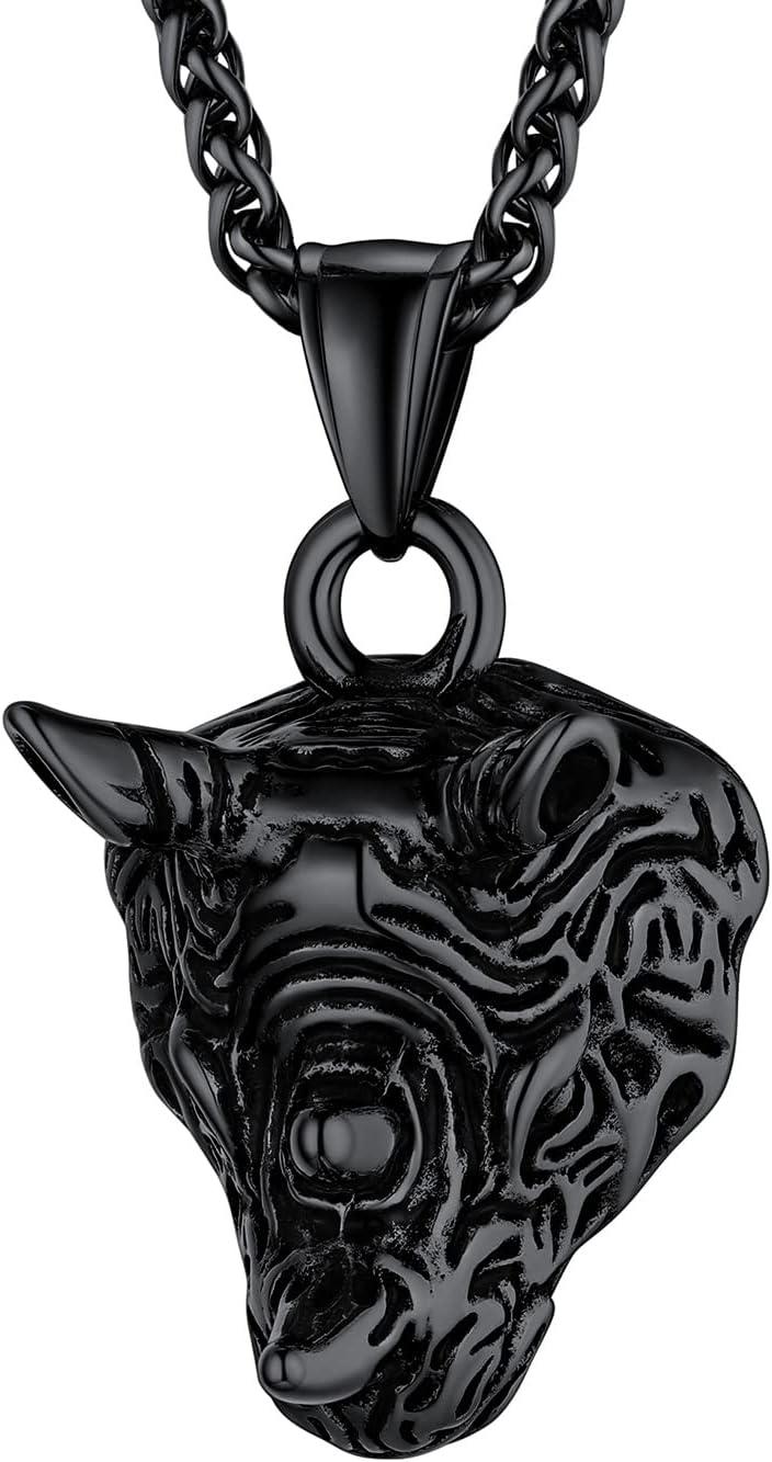 imageU7 Men Pendant Necklaces Stainless Steel Necklace for Men Cool Guitar Pick SkullAlligator Dinosaur Skeleton Tyrannosaurus RexGothic SkullOctopusEvil Demon Hannya Mask Pendant with ChainBlack