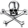 U7 Gothic Skull Brooches Pin for Halloween Men Women Stainless Steel Silver Black Viking Rune/Wolf Head/Deer/Spider Animal Gothic Brooch Scarf Dress Lapel Pins(Criss Bone Skull)