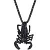 09.Scorpio Black