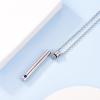 Urn Necklace for Ashes,Customized Stainless Steel or 18K Gold Plated Cremation Jewelry Memorial Keepsake Urn Lockets Pendant for Men Women -Waterproof & Gift Packed(Long Bar-stainless(text+birthstone))