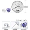 SILVERCUTE 925 Sterling Silver 2ct Birthstone Stud Earrings,Hypoallergenic Round/Heart/Square Birthstone Earrings for Women Birthday Christmas Jewelry(02.February(Amethyst)-Heart)