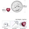 SILVERCUTE 925 Sterling Silver 2ct Birthstone Stud Earrings,Hypoallergenic Round/Heart/Square Birthstone Earrings for Women Birthday Christmas Jewelry(07.July(Ruby)-Heart)