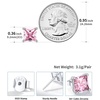 SILVERCUTE 925 Sterling Silver 2ct Birthstone Stud Earrings,Hypoallergenic Round/Heart/Square Birthstone Earrings for Women Birthday Christmas Jewelry(10.October(Pink Tourmaline)-Square)