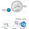 SILVERCUTE 925 Sterling Silver 2ct Birthstone Stud Earrings,Hypoallergenic Round/Heart/Square Birthstone Earrings for Women Birthday Christmas Jewelry(12.December(Blue Topaz)-Round)